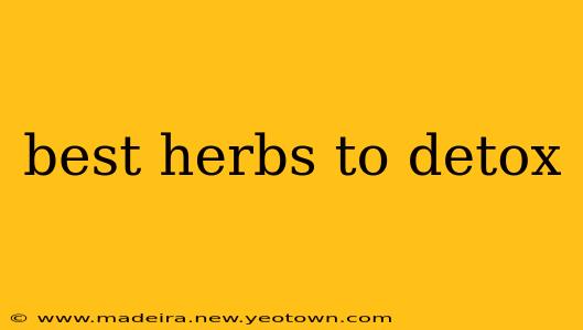 best herbs to detox