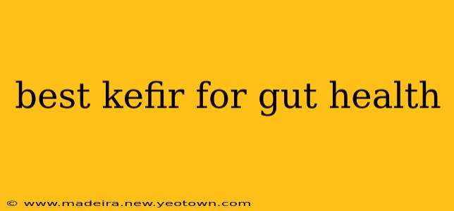 best kefir for gut health