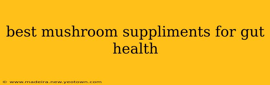 best mushroom suppliments for gut health