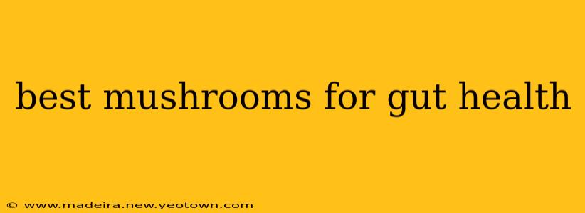 best mushrooms for gut health