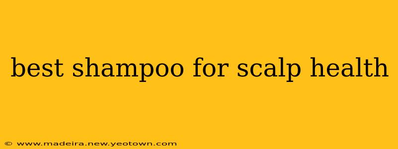 best shampoo for scalp health