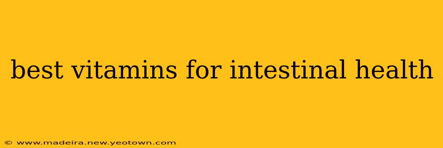 best vitamins for intestinal health