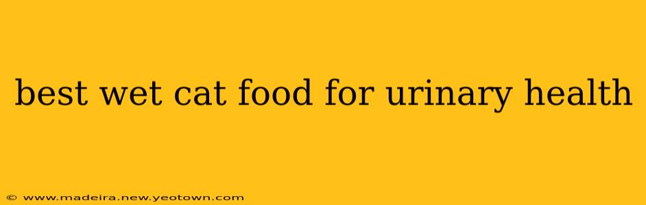best wet cat food for urinary health