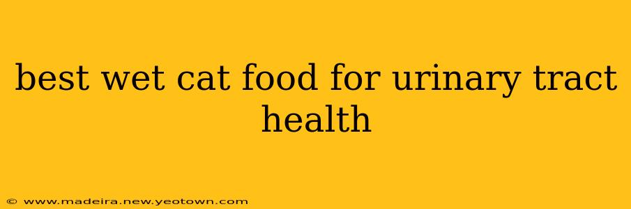 best wet cat food for urinary tract health