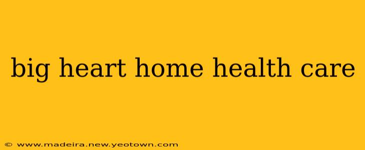 big heart home health care