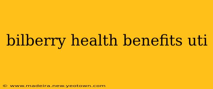 bilberry health benefits uti