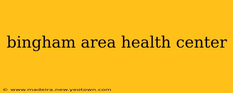 bingham area health center