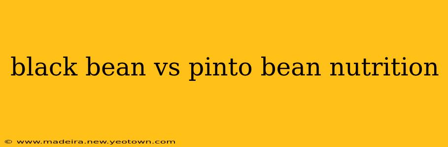 black bean vs pinto bean nutrition