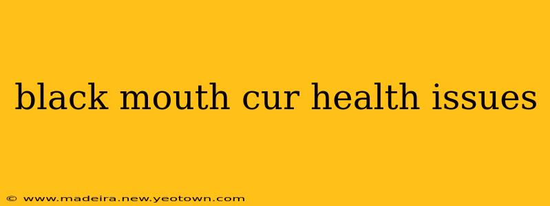black mouth cur health issues