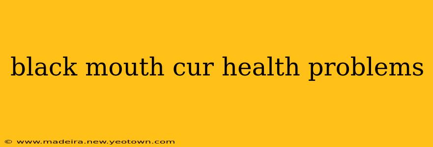 black mouth cur health problems