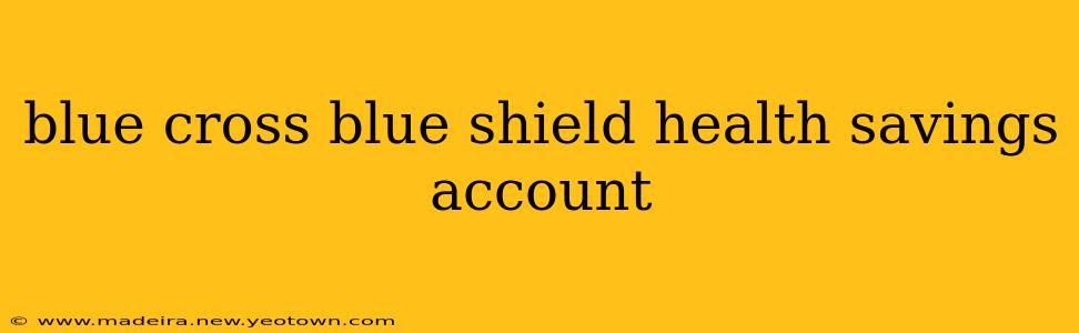 blue cross blue shield health savings account