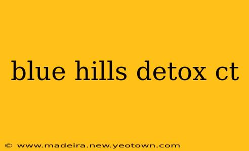 blue hills detox ct