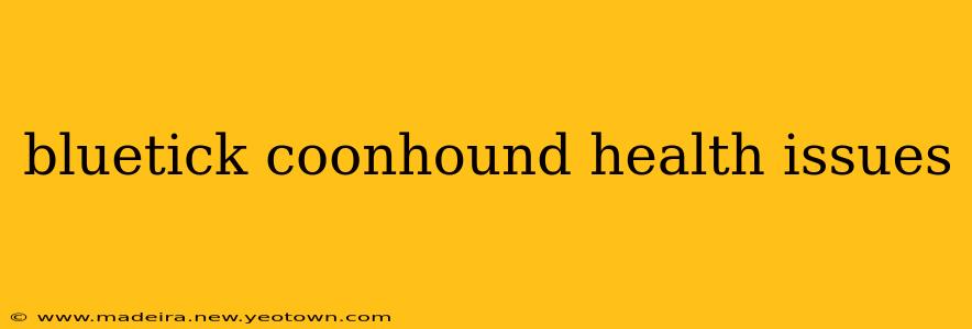 bluetick coonhound health issues