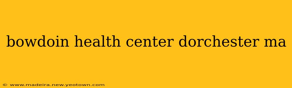 bowdoin health center dorchester ma