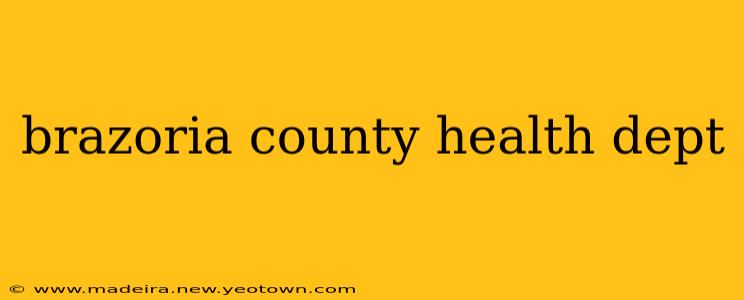 brazoria county health dept