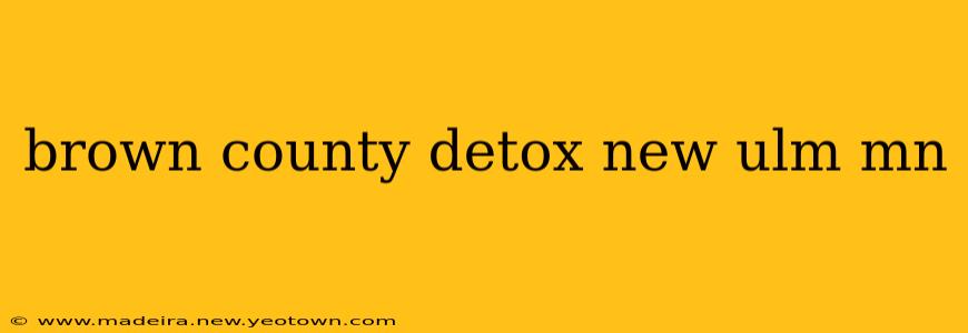 brown county detox new ulm mn