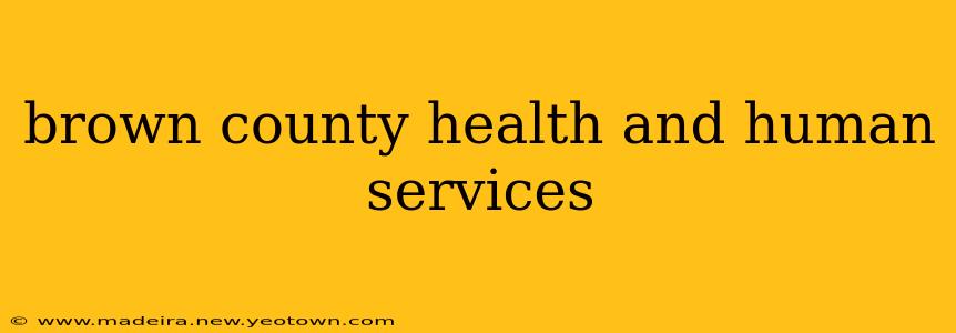 brown county health and human services