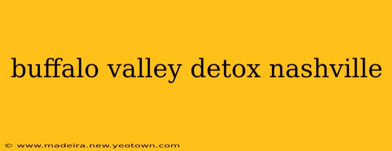 buffalo valley detox nashville
