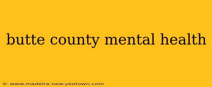 butte county mental health