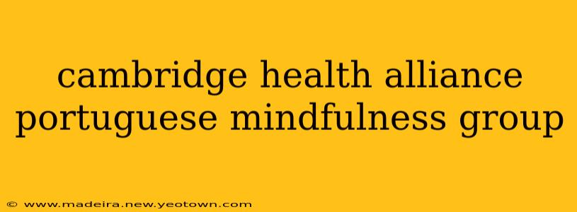cambridge health alliance portuguese mindfulness group