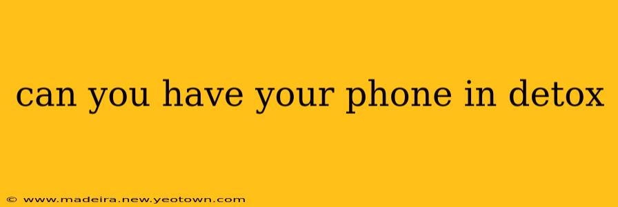 can you have your phone in detox