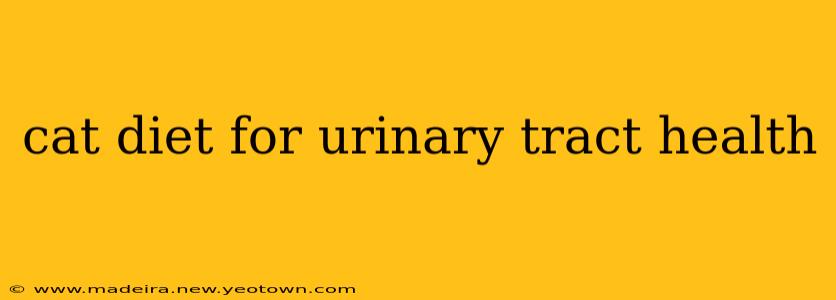 cat diet for urinary tract health