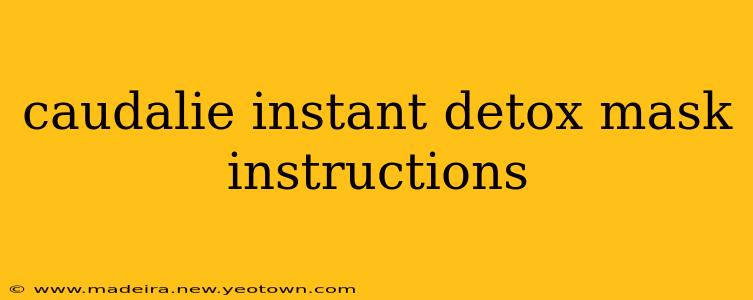 caudalie instant detox mask instructions