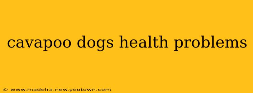 cavapoo dogs health problems