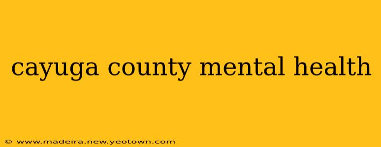 cayuga county mental health