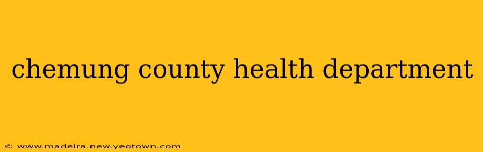 chemung county health department