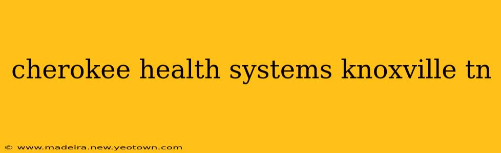 cherokee health systems knoxville tn