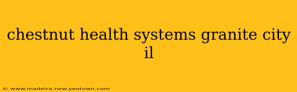 chestnut health systems granite city il