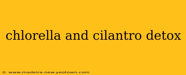 chlorella and cilantro detox