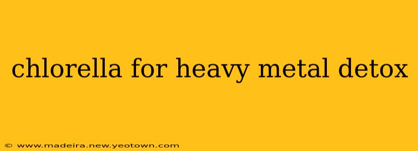 chlorella for heavy metal detox