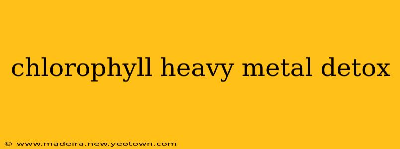 chlorophyll heavy metal detox