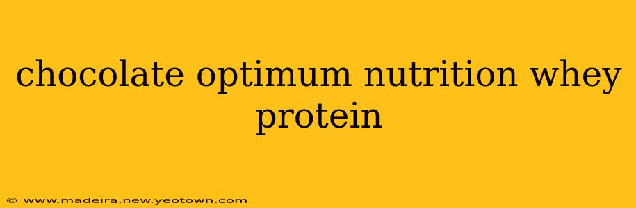 chocolate optimum nutrition whey protein