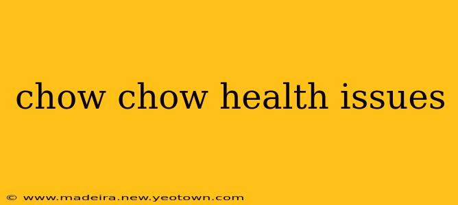 chow chow health issues