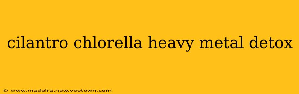 cilantro chlorella heavy metal detox