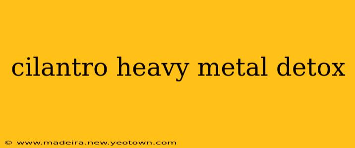 cilantro heavy metal detox
