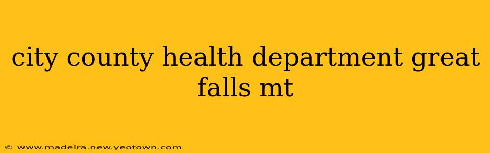 city county health department great falls mt