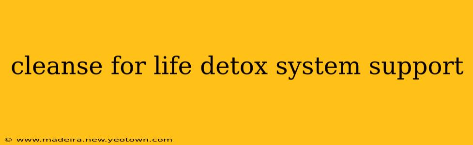 cleanse for life detox system support