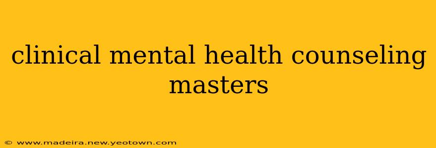 clinical mental health counseling masters