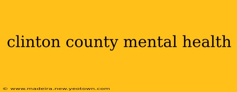 clinton county mental health