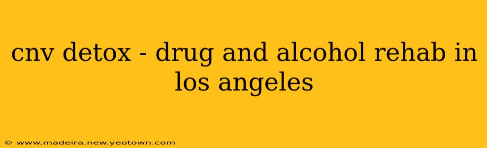 cnv detox - drug and alcohol rehab in los angeles