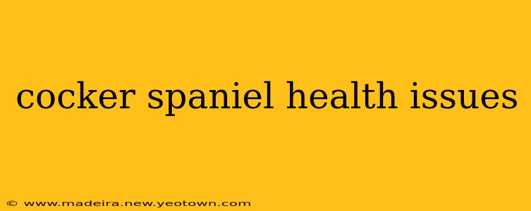 cocker spaniel health issues