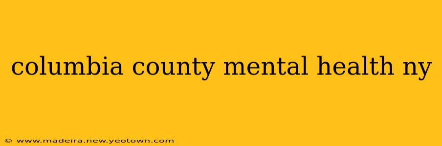 columbia county mental health ny