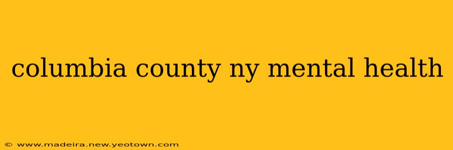 columbia county ny mental health