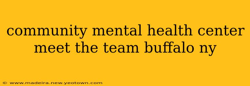 community mental health center meet the team buffalo ny