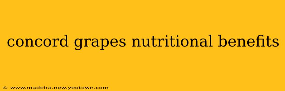 concord grapes nutritional benefits