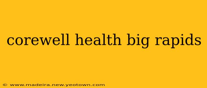 corewell health big rapids